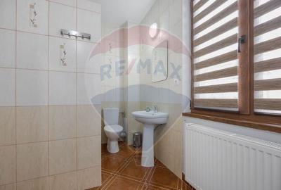 Casă / Vilă cu 16 camere de vânzare Sanmartin/Stefan cel Mare - 20