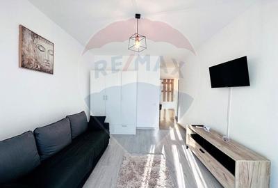 Apartament cu 1 camere decomandat, mobilat în Vest - 4