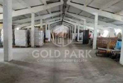 Spatiu Industrial - Zona Autostrazii A3 - Curte / Parcari - 4