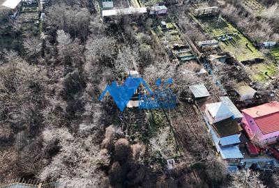 Teren intravilan BIDIDIA, zona deosebita, 550MP - 2