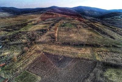 Teren de 1,200 mp cu potential in Covasant, strada Liliacului - 8