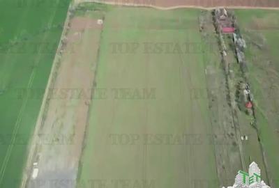 Teren de 24611 mp, în Păulești - 1