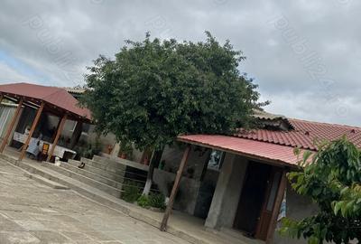 Casă cu 5 camere în Ceamurlia de Sus - 2