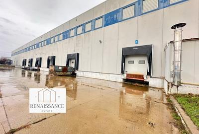 Hala Moderna 6200mp | Panouri Solare - Freidorf - Acces la Centura - 10