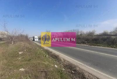 Teren de 4800 mp, în Glina - 10