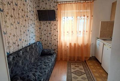 Garsonieră nedecomandată în Cihei - 4