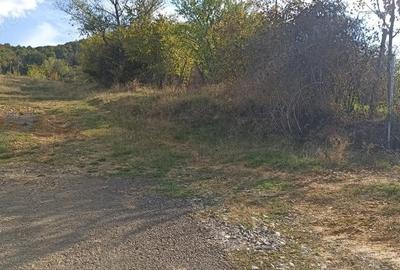 Teren de 2000 mp, în Câlnic - 5