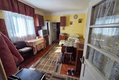 Casă cu 3 camere cu Teren 2000 Mp în Deleni - 1
