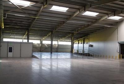 Spațiu industrial, de 3,000 mp, în Brănești - 6