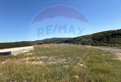 Teren 3,757mp Paltinoasa / Strada principala - 3