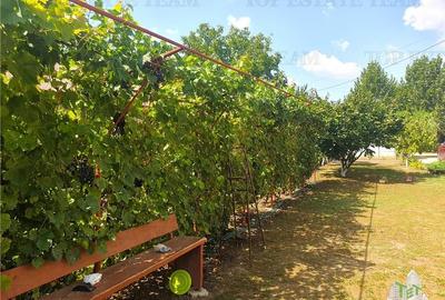 Casa moderna de vanzare la 45 km. de Bucuresti - 13