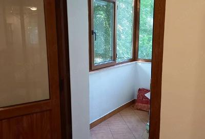 Apartament cu 2 camere decomandat în Nicolina - 10
