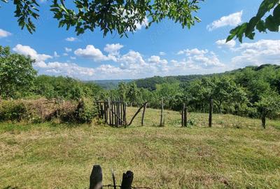 Teren în Milcoiu - 5