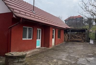 Casa de vanzare cu mansarda si gradina - 6