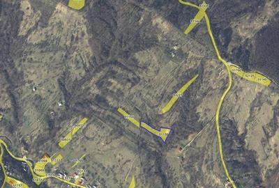 Teren faneata Vizantea Livezi; ID: R2800475 - 2