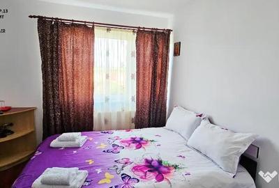 Casă cu 2 camere cu Teren 5000 Mp în Central - 2