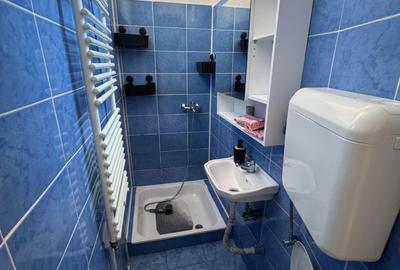 De vanzare apartament 2 camere Piata Unirii- 546 De vanzare apartament 2 camere Piata Unirii- 546 - 8