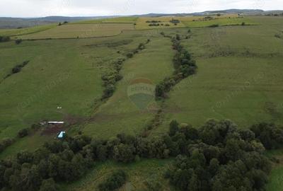 Teren de vanzare, 65 hectare - Agnita - 3