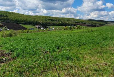 Spațiu comercial, în Ivănești - 5