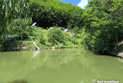 Casa de vacanta, cu lac, 5640 mp teren, Huta, com. Chiuiesti, jud. Cluj Casa de vacanta, cu lac, 5640 mp teren, Huta, com. Chiuiesti, jud. Cluj - 14