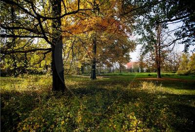 Domeniu Baronial de vanzare in localitatea CIL , Judet Arad - 9
