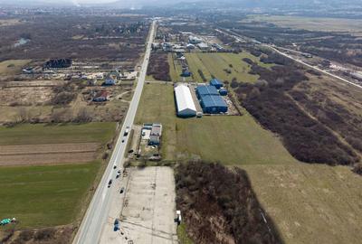 Teren agricol extravilan de 7194 mp, în Păltiniș - 17