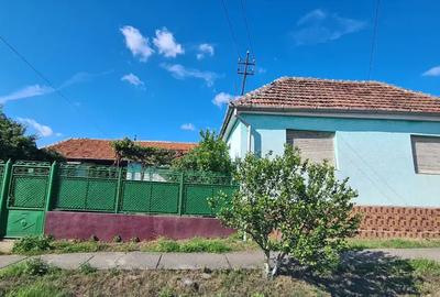 Vand casa in localitatea Craiva - 7