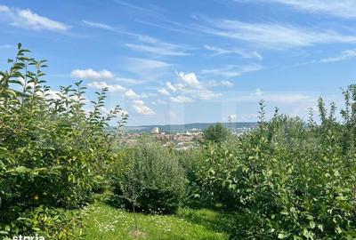 Spațiu comercial, în Dâmbău - 1