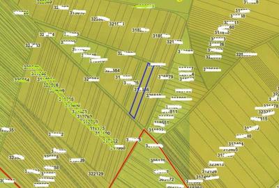 Teren extravilan- Com. Siria, jud. Arad - 3