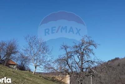 Teren de 23600 mp, în Vințu de Jos - 6