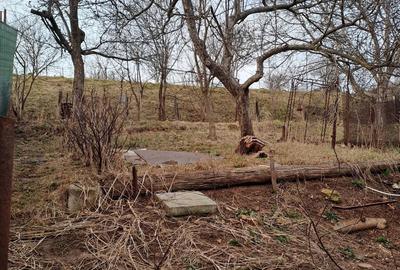 Casă cu 1 camere în Codlea - 5