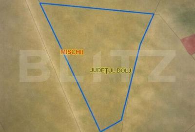 Teren de 1331 mp, în Mischii - 4