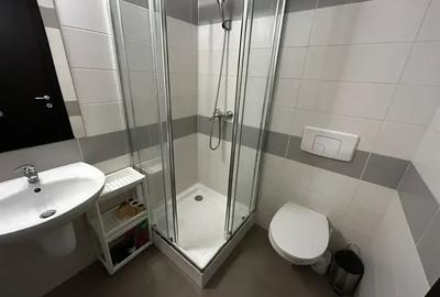 Garsonieră luminoasă, zona Parcul Carol Garsonieră luminoasă, zona Parcul Carol - 11