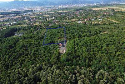 OPORTUNITATE PENTRU DEZVOLTATORI Teren de vanzare Sa... - 2