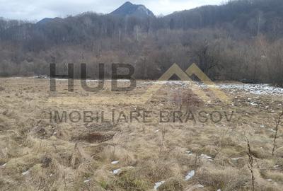 Teren Pretabil Investitie | Parau Rece Rasnov | 10.035mp | Extravilan - 7