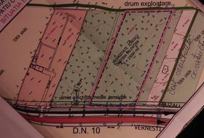 Teren 15000 mp Vernesti, Buzau cu PUZ - 12