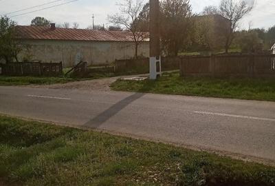 Teren de 700 mp, în Băcălești