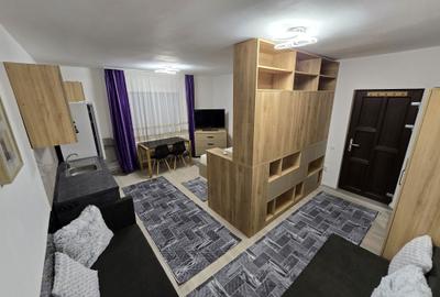 Garsonieră nedecomandată în Radu Negru - 6