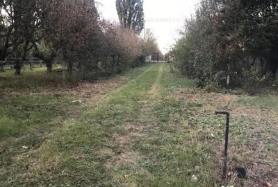 Teren de 500 mp, în Podu Iloaiei - 10