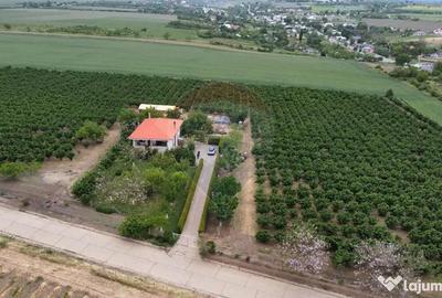 Casă cu 7 camere cu Canalizare în Dobrinești - 13