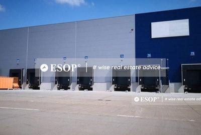 Spațiu comercial, de 7,000 mp, în Theodor Pallady