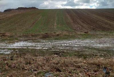 Teren de 5800 mp, în Crișeni - 7