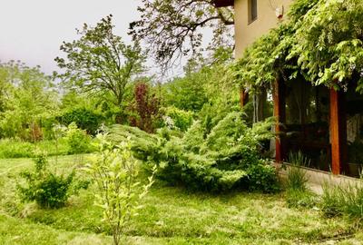 Vila de poveste 5 camere zona Bolintin Vale, judetul Giurgiu - 4