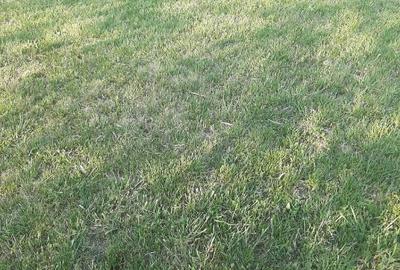 Teren intravilan 2000mp Teren intravilan 2000mp - 1