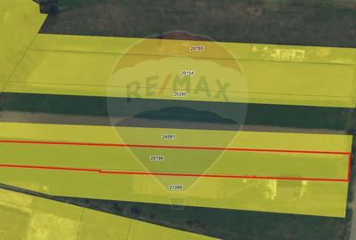 Teren Construcții intravilan de 4486 mp, în Iordăcheanu - 3