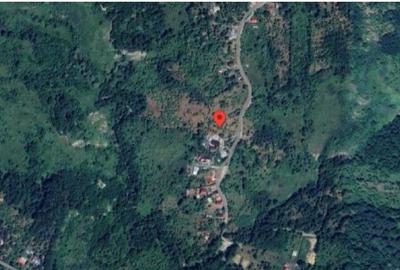 Teren de 2894 mp, în Vistieru - 16