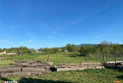 Casă cu 6 camere cu Teren 923 Mp în Târnova - 16