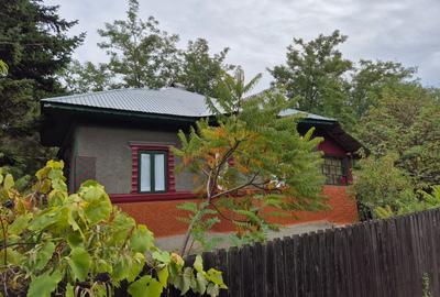 Casă cu teren 3.682 mp, sat Radu Vodă (com. Lupsanu, jud. Călărași) - 4