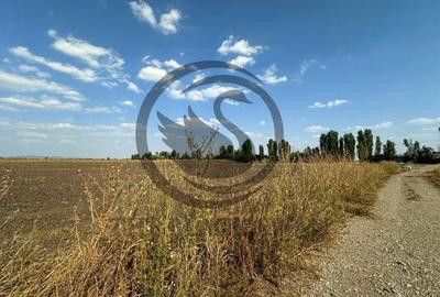 Teren extravilan de vanzare | 9882mp | Berceni - Prahova | Comision 0% - 8