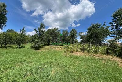 Teren de 3200 mp, în Dăești - 7